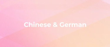 MDT-NLP-B005 Chinese German Parallel Corpus